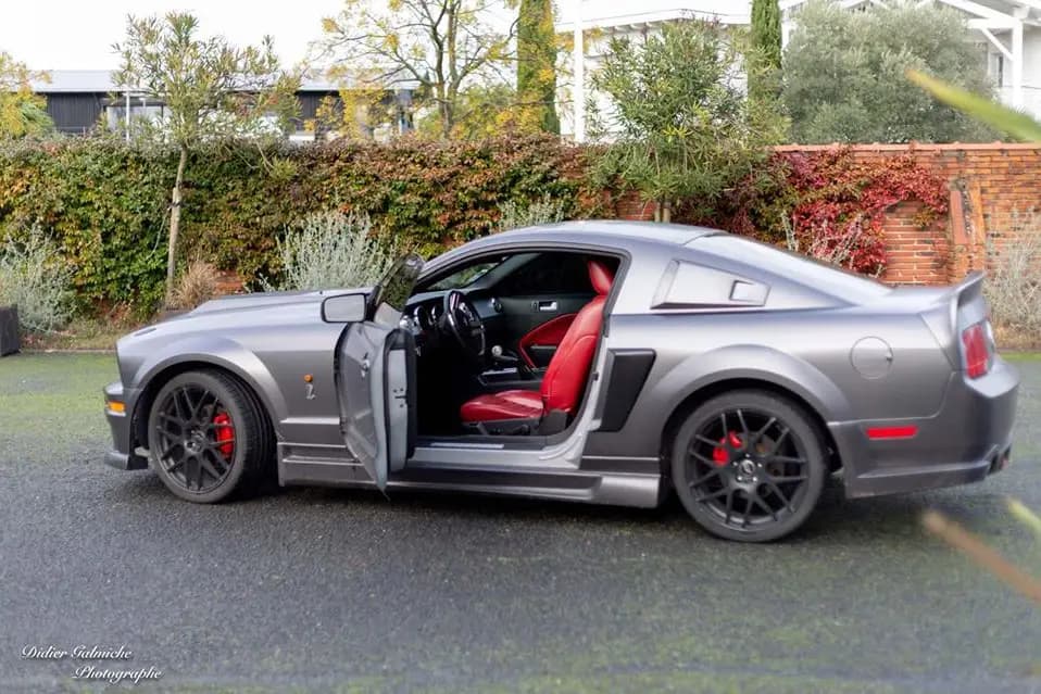 Festifs Event — photo 1