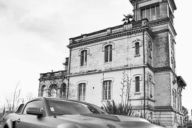 Festifs Event — photo 2