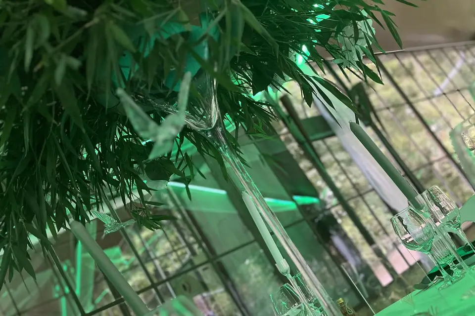 Dreams Wedding — photo 6