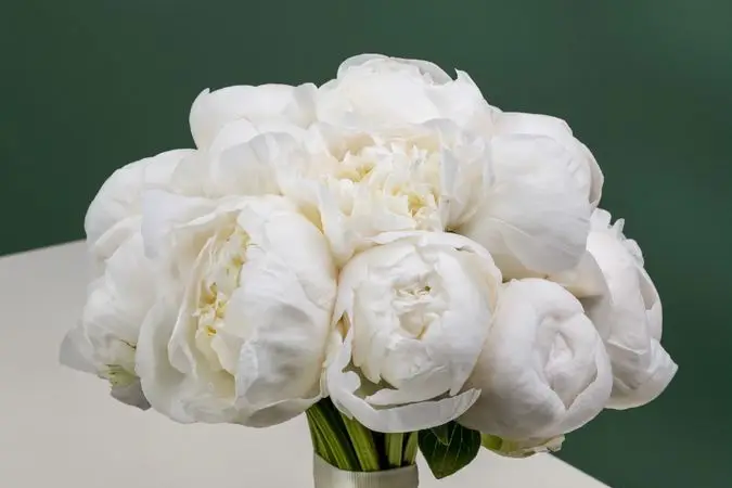 Mi Promesa — photo 4