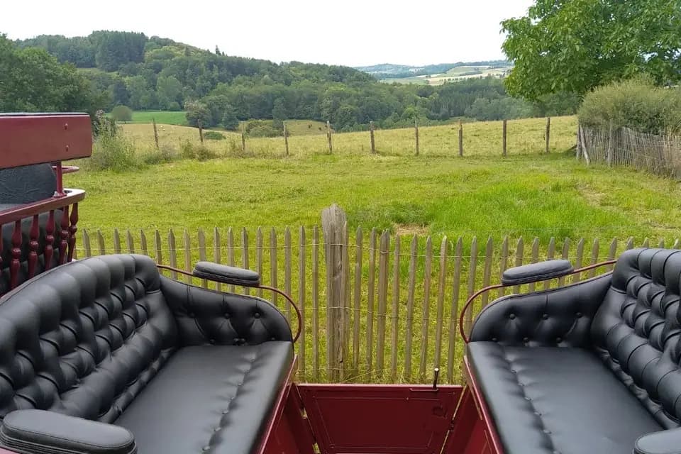 Les attelages de Loubezac — photo 6