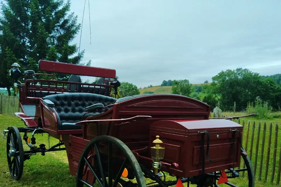 Les attelages de Loubezac — photo 7