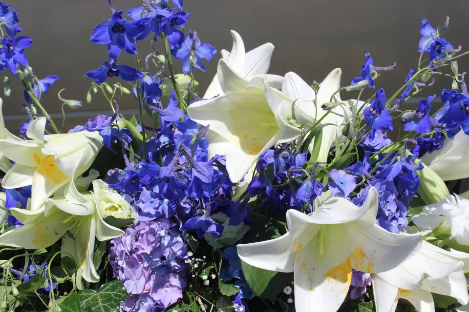 Les attelages de Loubezac — photo 1