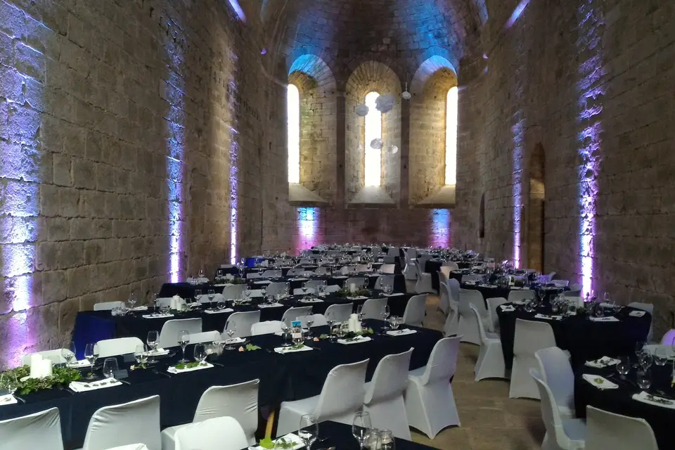 Up Anim' — photo 5