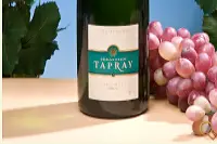 Sebastien Tapray — photo 6