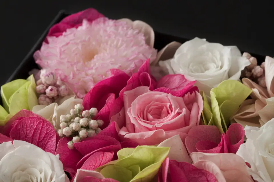 Iki de Veyrac — photo 6