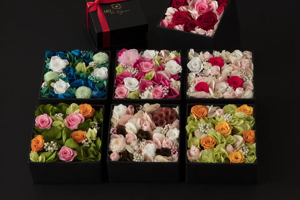 Iki de Veyrac — photo 5