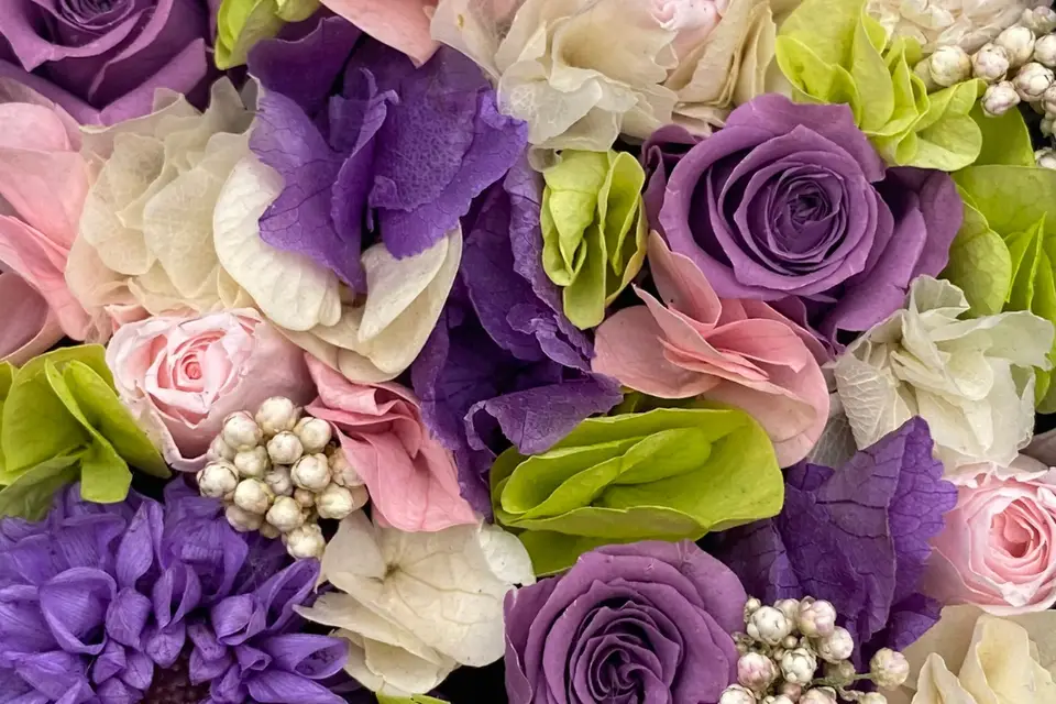 Iki de Veyrac — photo 7