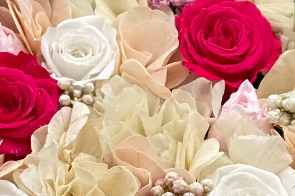 Iki de Veyrac — photo 8