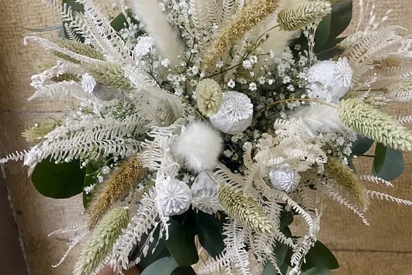 Centaurée — photo 7