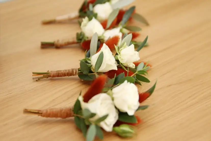 Centaurée — photo 2