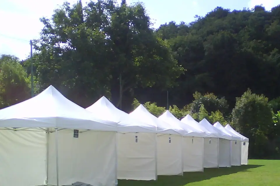 Mathieu Location — photo 6