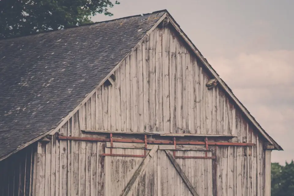 Vilami Réception — photo 4