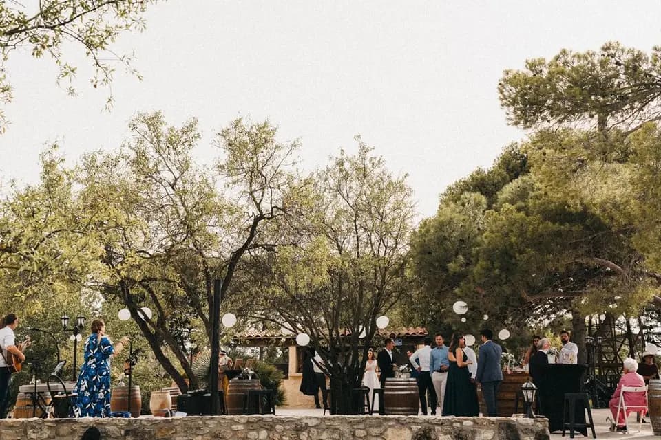 Living Rose — photo 7