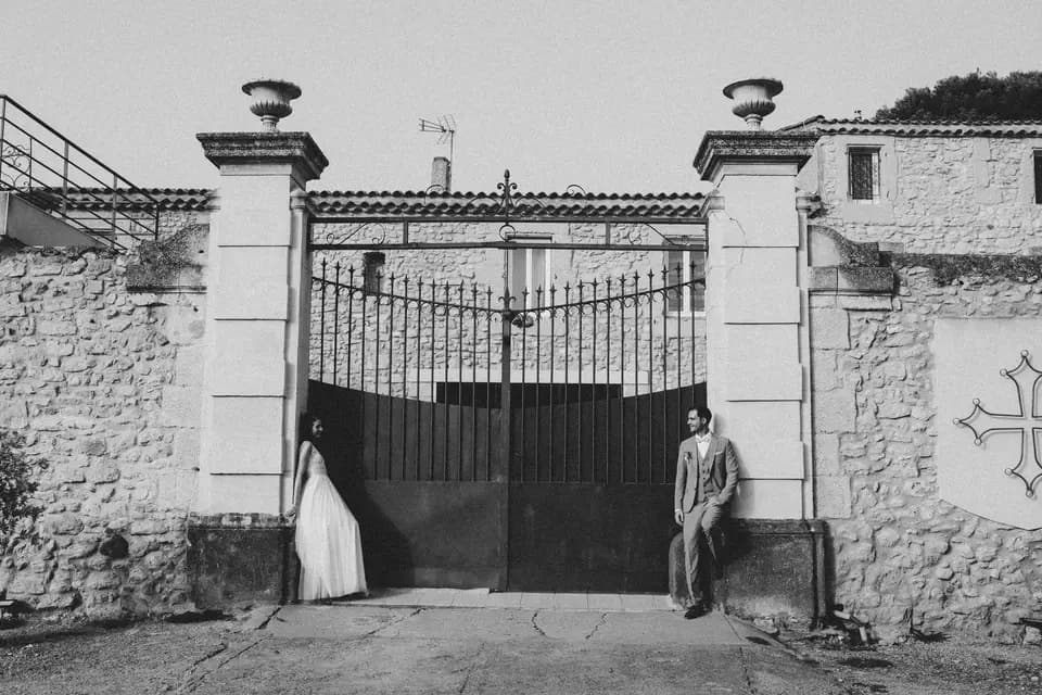 Living Rose — photo 8