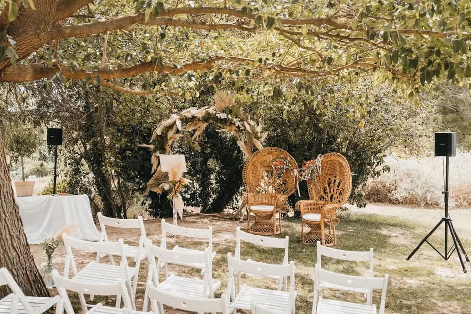 Living Rose — photo 2