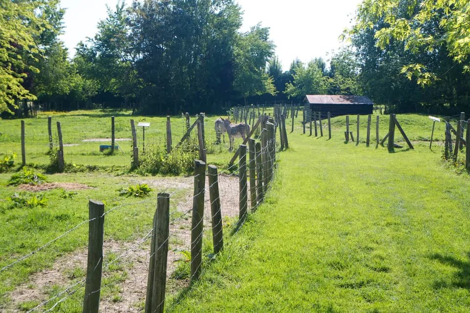 La Ferme du Bout des Prés — photo 4