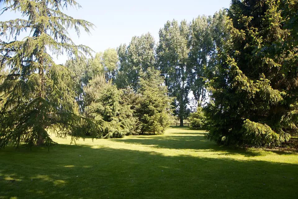 La Ferme du Bout des Prés — photo 3