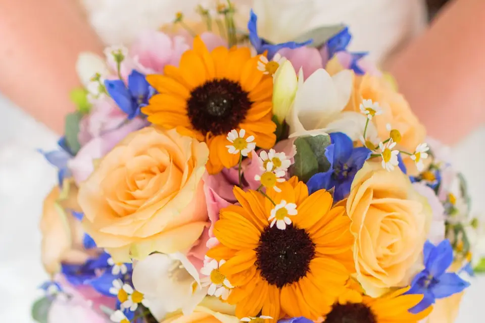 La Part des Violettes