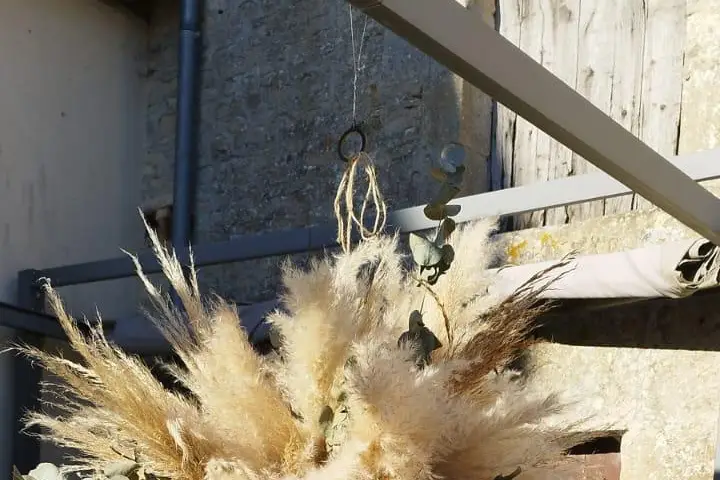 Mimosa et Cotinus — photo 8