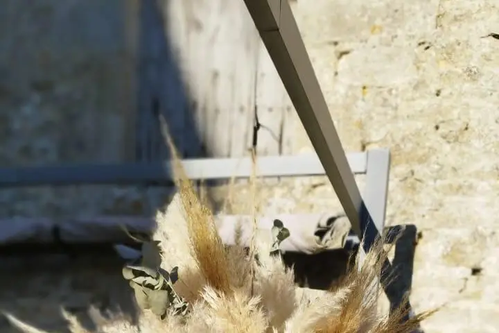 Mimosa et Cotinus — photo 6