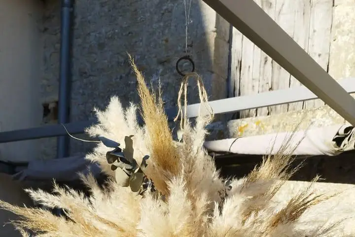 Mimosa et Cotinus — photo 7