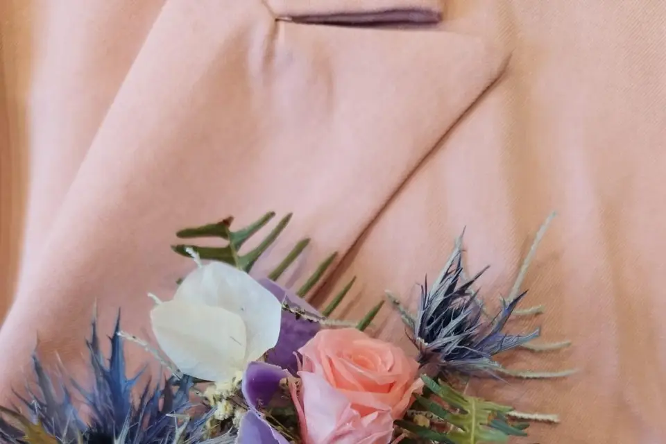 Mimosa et Cotinus — photo 2