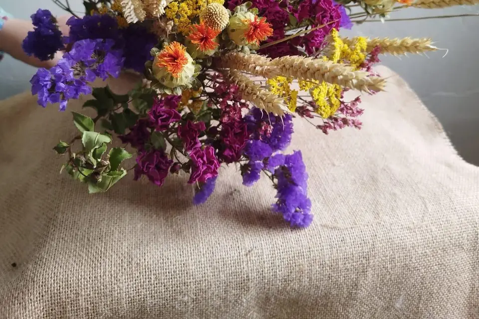 Mimosa et Cotinus — photo 5