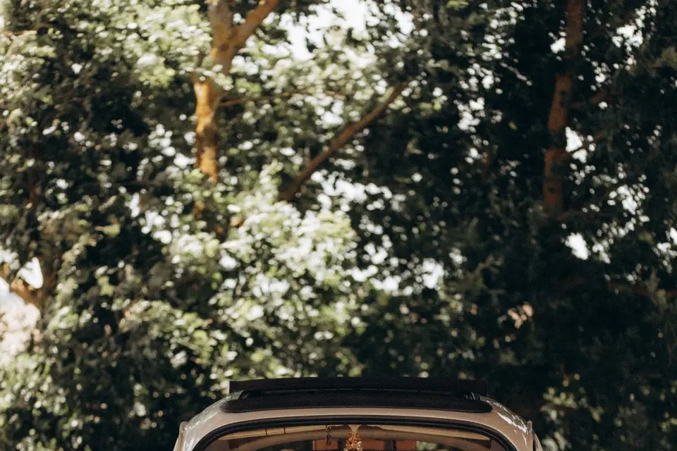 Cox For Ever — photo 6