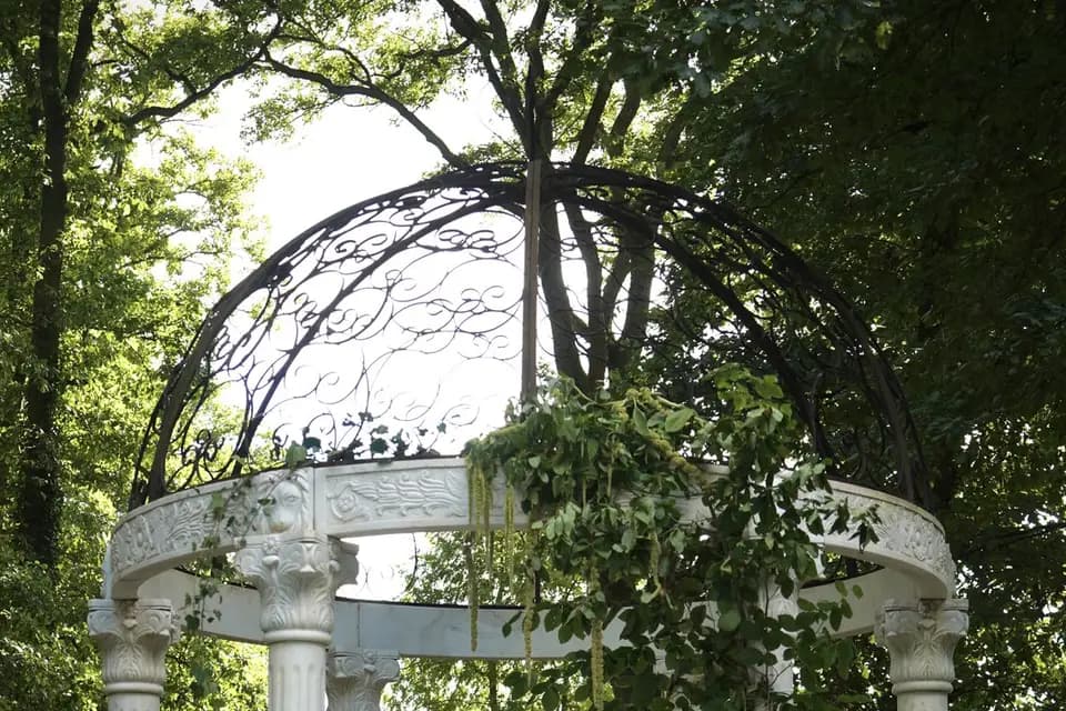 Ancolie Landa — photo 3