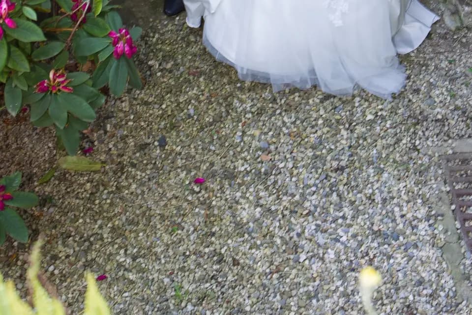 Digitalpics — photo 6