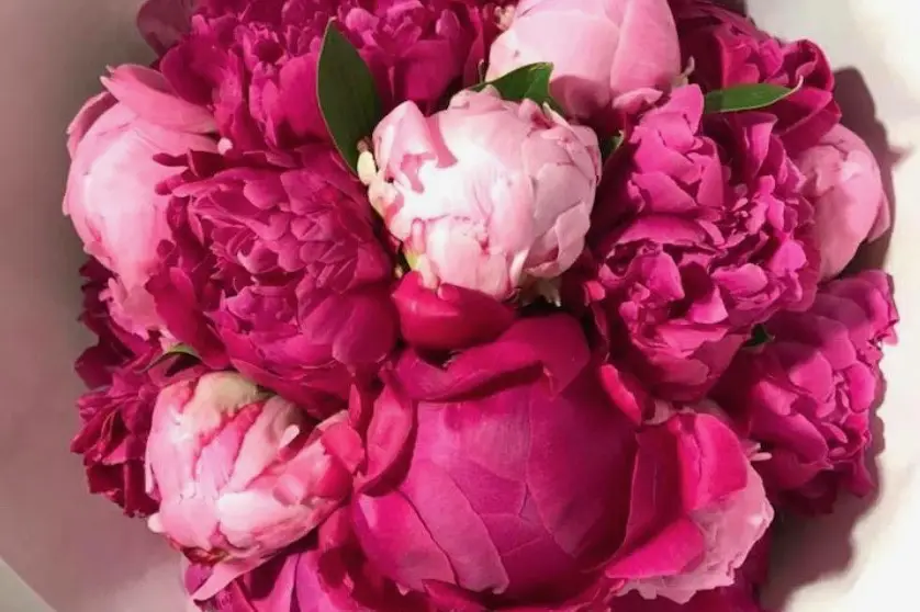 Atelier de la Rose — photo 1