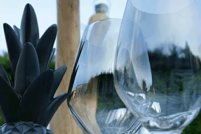 2 Caroline Ehret — photo 2