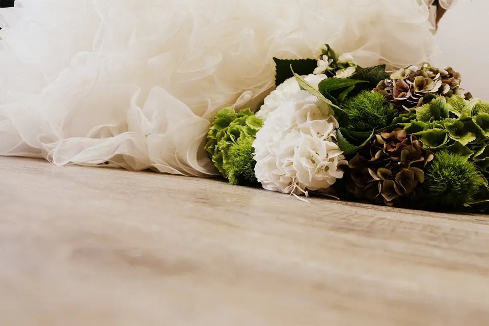 2 Caroline Ehret — photo 8