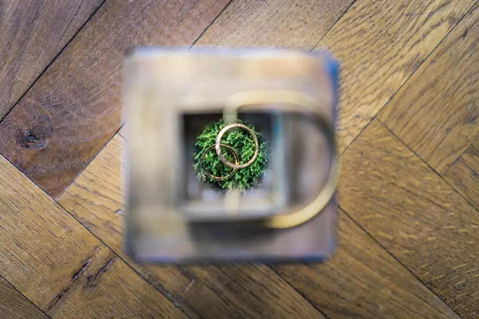 2 Caroline Ehret — photo 5