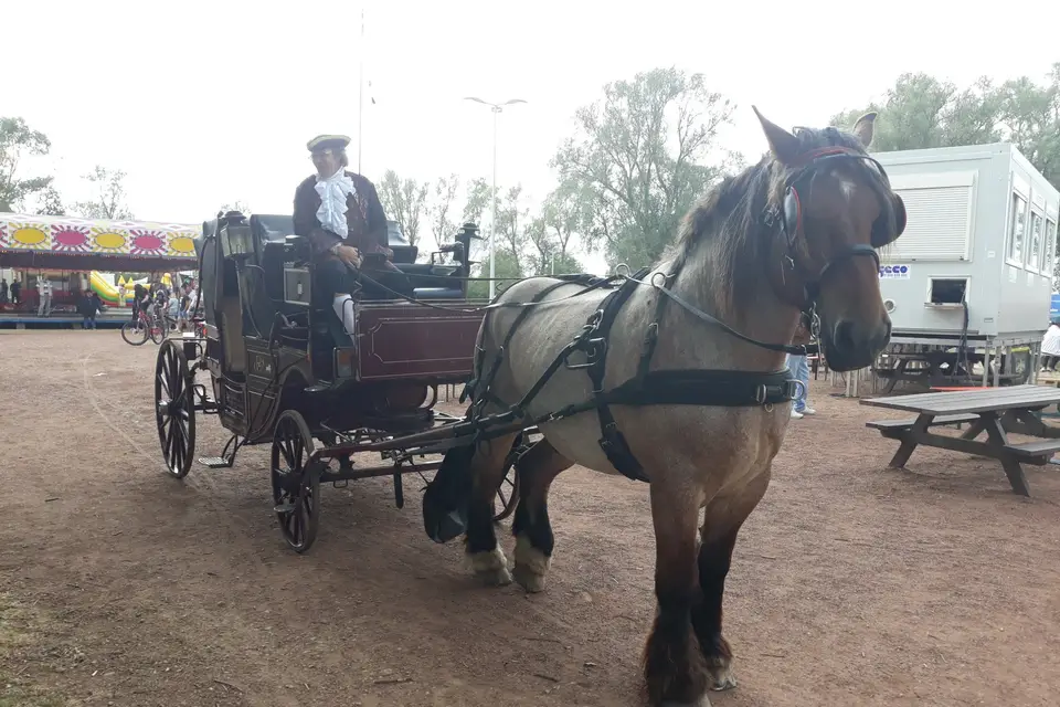 Les Caleches de la Moselle — photo 4