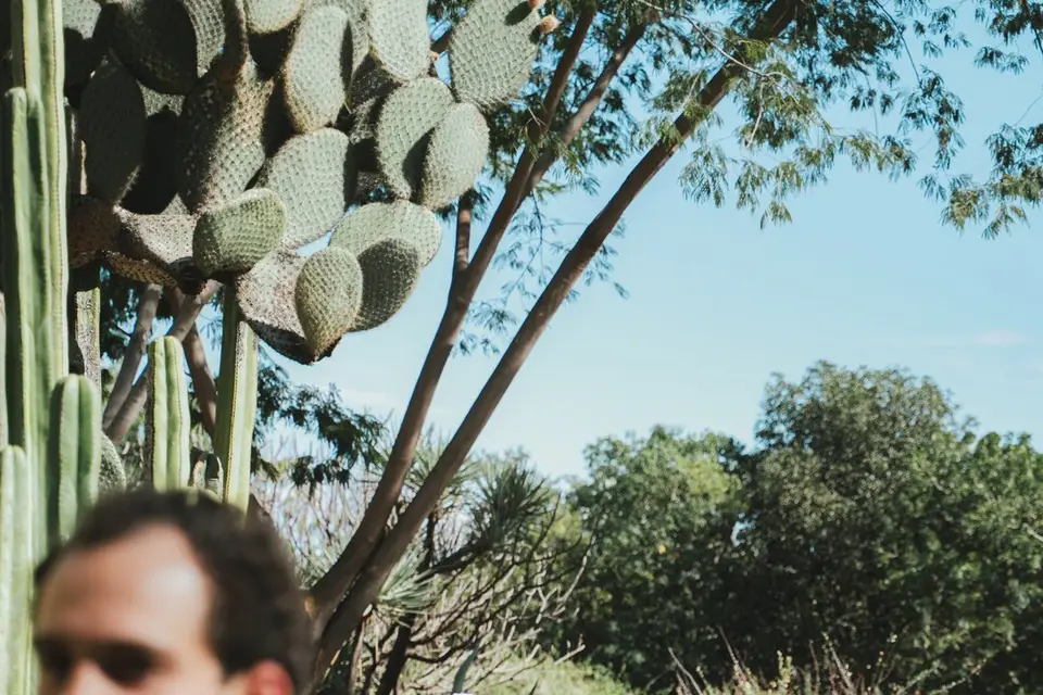 Caroline Jollin Photographe — photo 5