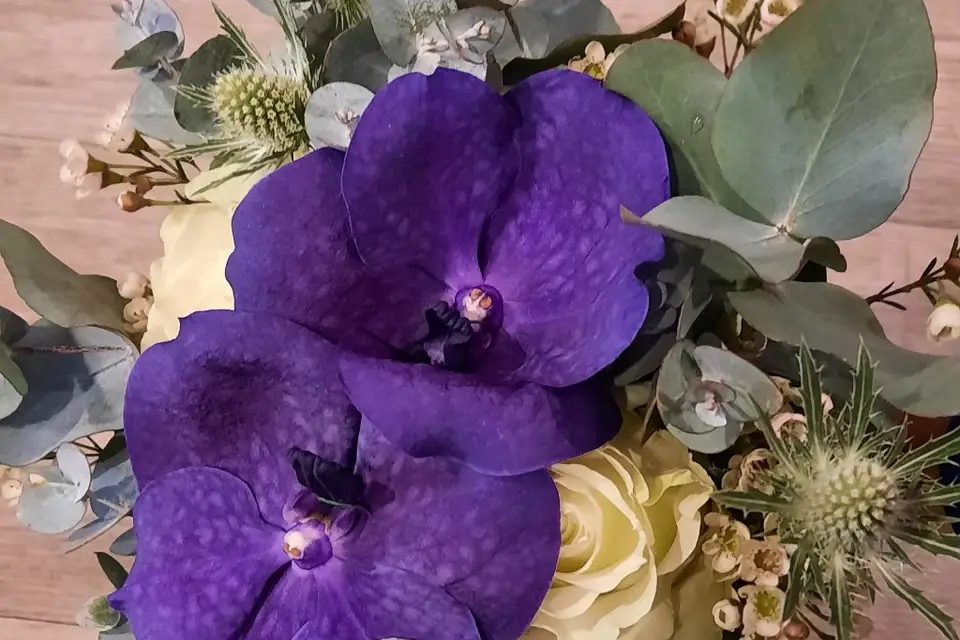 A fleurs d'o — photo 8