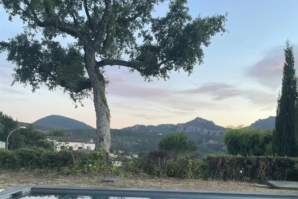 Aloura Paella — photo 3