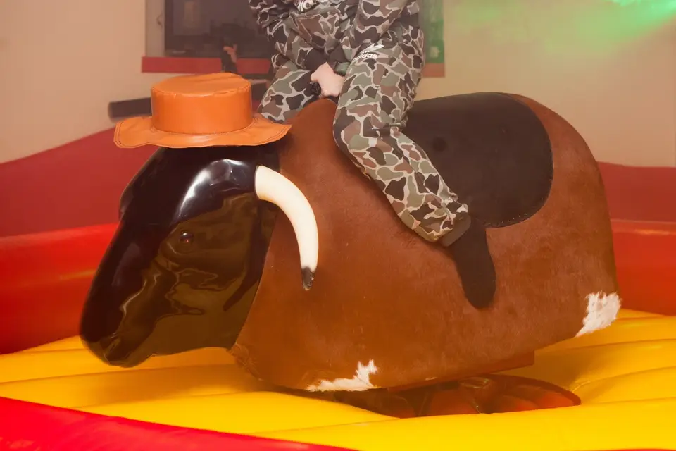 QDBonheur — photo 4