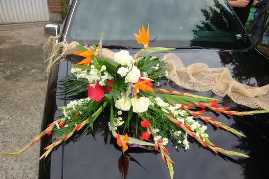 Transport VIP — photo 4