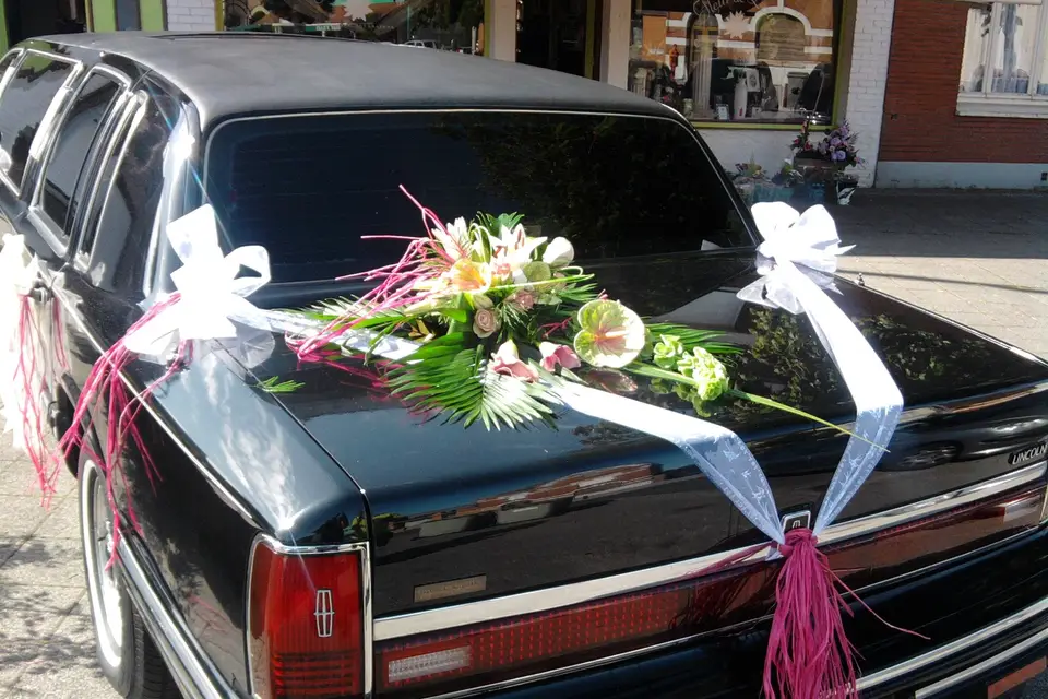 Transport VIP — photo 7