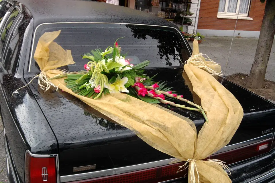 Transport VIP — photo 8