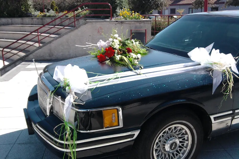 Transport VIP — photo 5