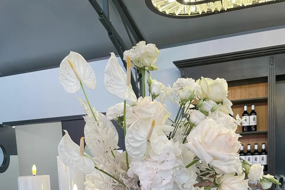 Vert Tige — photo 1