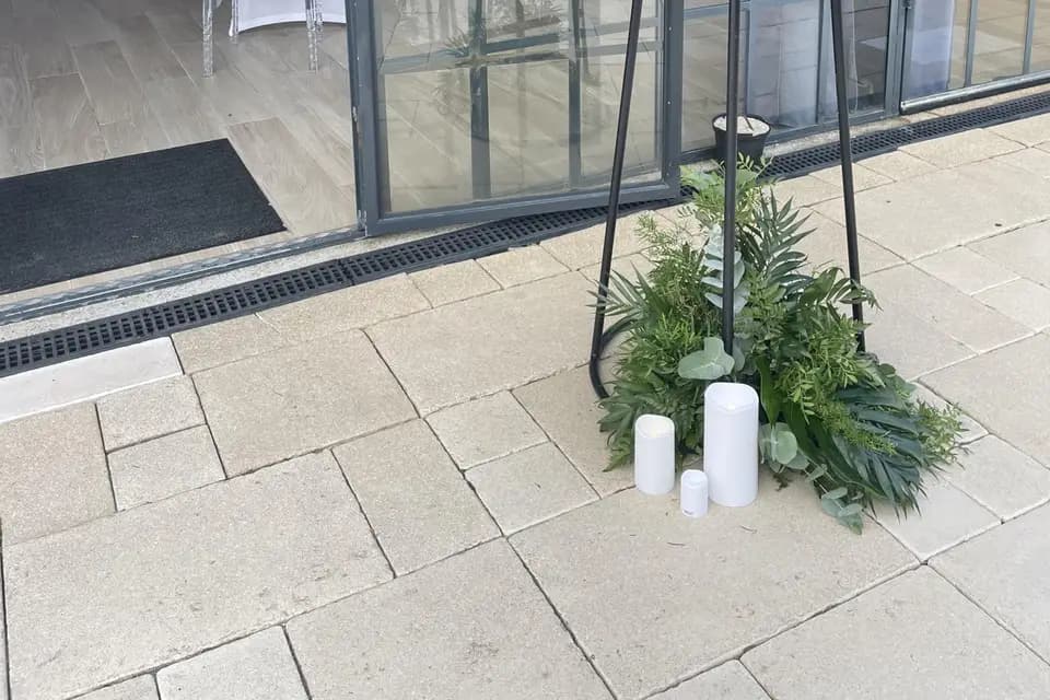 Vert Tige — photo 3