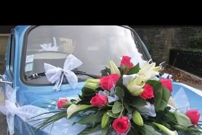 Orgafêtes — photo 3