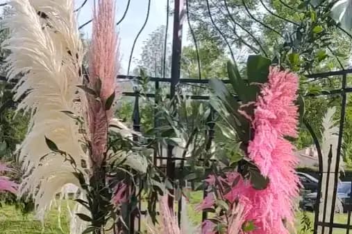 Metal Canavese — photo 4