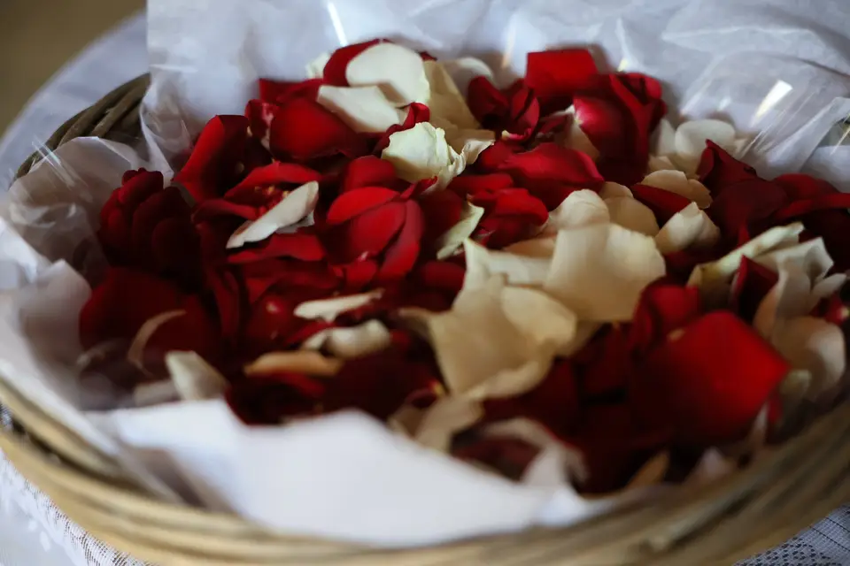 Grains de Pollen — photo 1