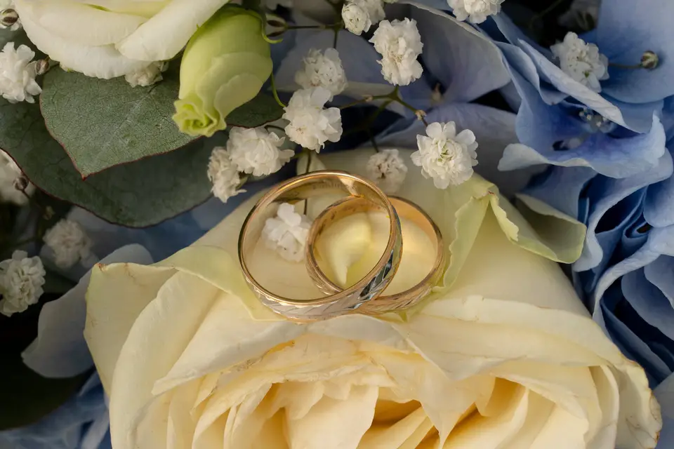 Grains de Pollen — photo 8